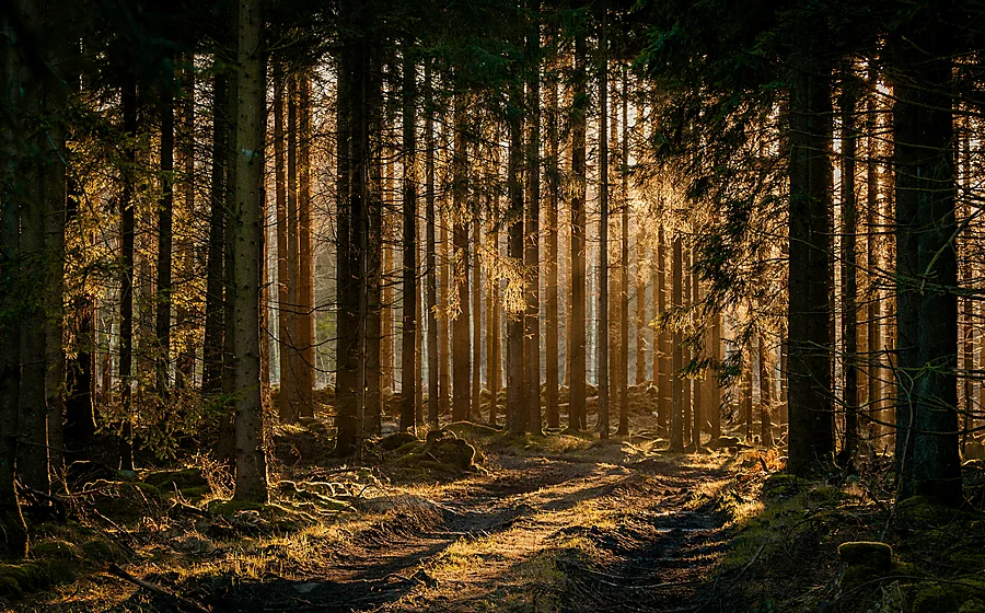 Camino de transformación y esperanza